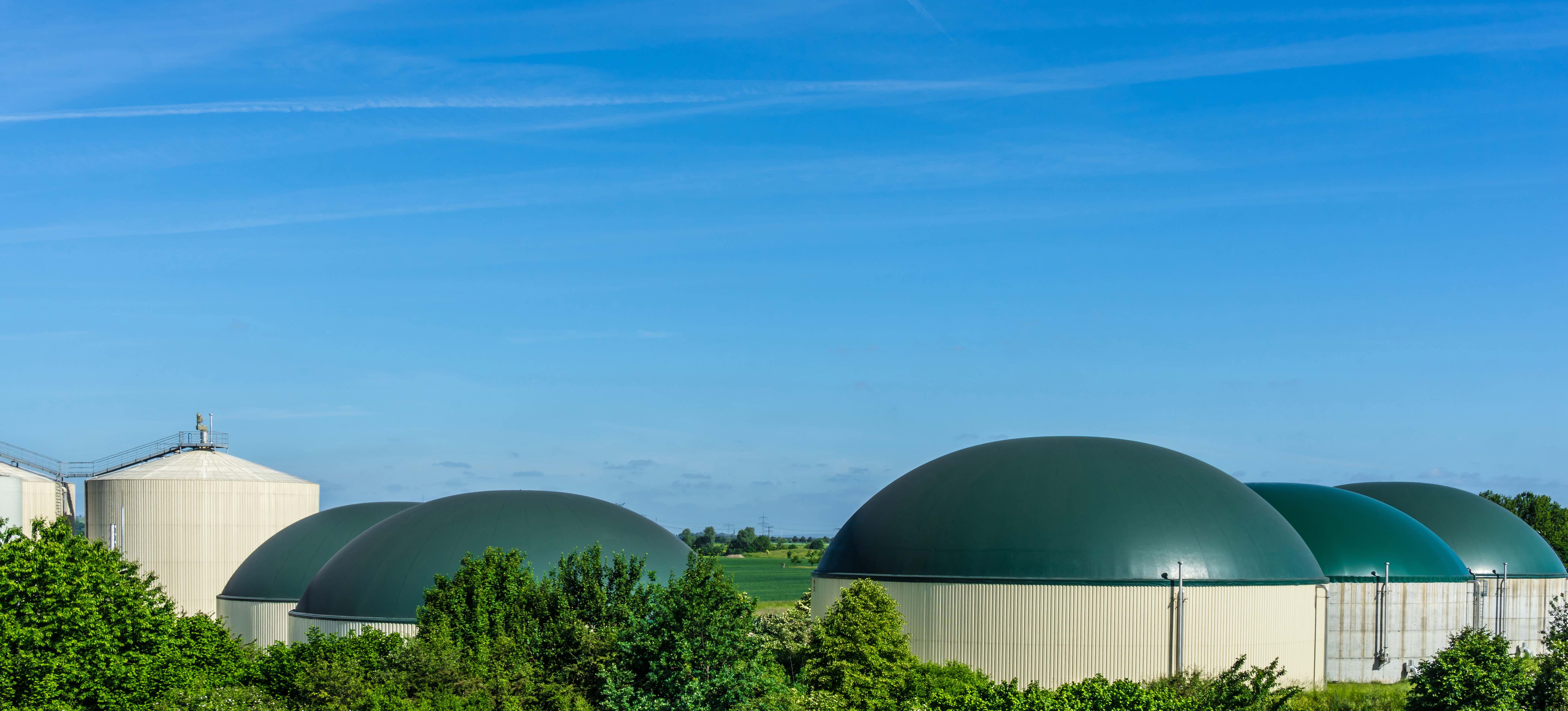 What feedstock is used for biomethane production?